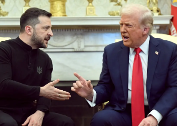 Trump, Zelenskyy Comment on Ukraine Elections and Corruption