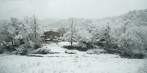 Severe Winter Hits Central Europe, Airports Closed