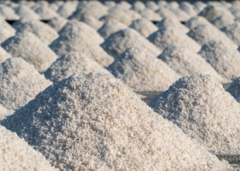 India bans export of sugar until September this year to cool domestic prices