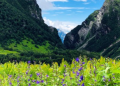 Valley of Flowers reopens for Tourists in Uttarakhand