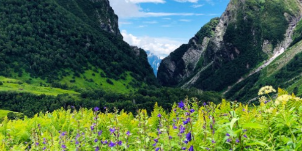 Valley of Flowers reopens for Tourists in Uttarakhand