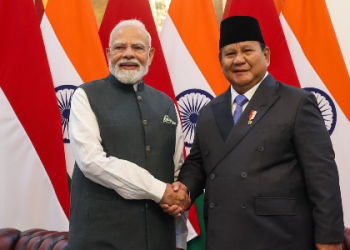 Prime Minister holds official talks with President of Indonesia
