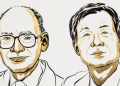 Scientists Kagan and Soai win 2026 Nobel chemistry prize