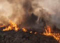Chile declares catastrophe as wildfires kill at least 19