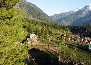 Two Tourists Found Dead in Separate Srinagar Incidents