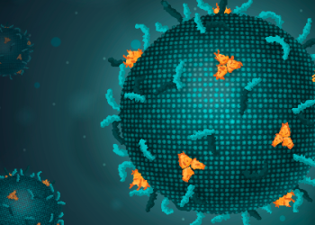 Only Two Nipah Virus Disease Cases Reported in West Bengal Since Last December: NCDC