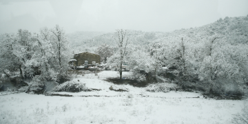 Severe Winter Hits Central Europe, Airports Closed
