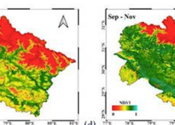 Satellites warn of declining vegetation in the Uttarakhand hills