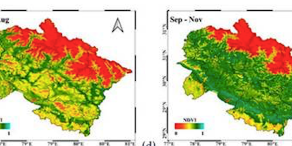 Satellites warn of declining vegetation in the Uttarakhand hills