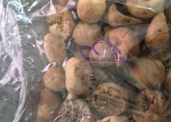 DRI seizes 60,000 kg smuggled foreign origin areca nuts in North-East region; 5 held