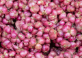 Govt revised minimum procurement price of onions
