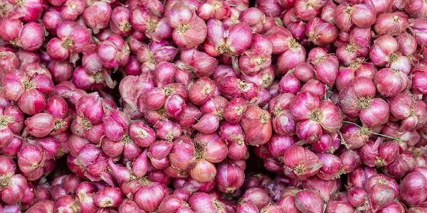 Govt revised minimum procurement price of onions