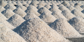 India bans export of sugar until September this year to cool domestic prices