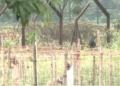 West Bengal government hands over 142.79 acre land to BSF for border fencing infrastructure