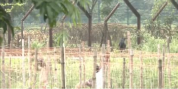 West Bengal government hands over 142.79 acre land to BSF for border fencing infrastructure