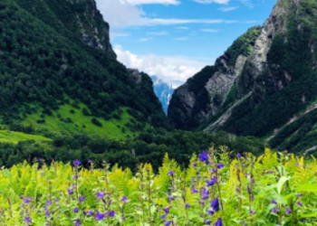Valley of Flowers reopens for Tourists in Uttarakhand