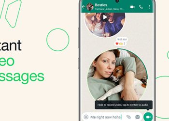 India Puts WhatsApp Username Rollout on Hold