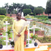 President graces the opening of Amrit Udyan Summer Annuals Edition, 2026