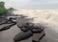 Cyclone Arnab makes landfall along Andhra coast