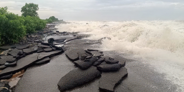 Cyclone Arnab makes landfall along Andhra coast