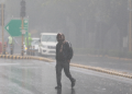 Delhi Records Wettest October Day in Four Years; CAQM Imposes Curbs